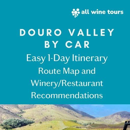 Douro Valley By Car: 1-Day Itinerary with Winery and Restaurant Recommendations