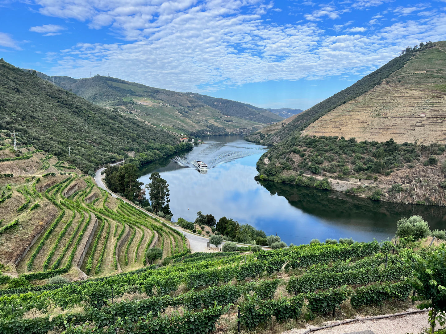 Douro Valley by Train - A Complete Guide with 3 Suggested Itineraries