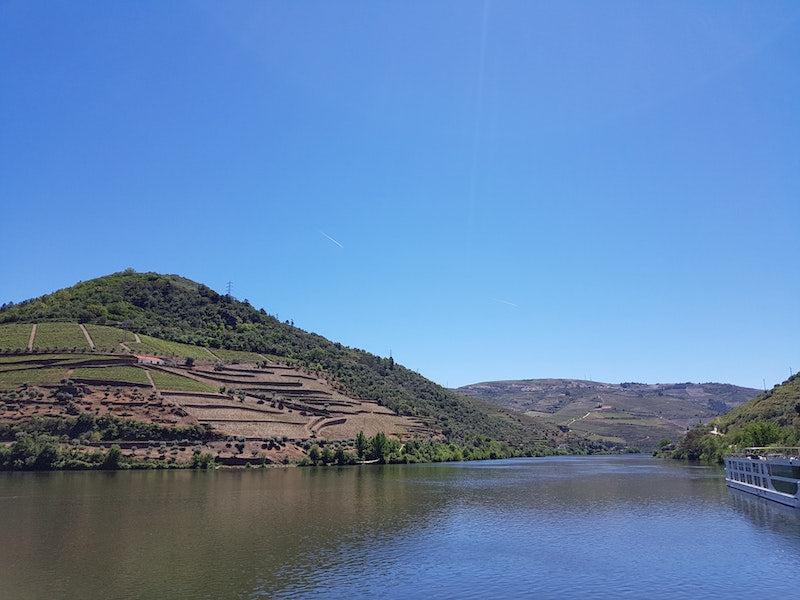Douro Valley by Train - A Complete Guide with 3 Suggested Itineraries